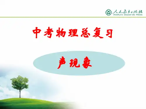 中考复习课件《声现象》    ppt课件