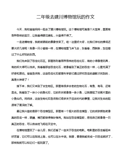 二年级去建川博物馆玩的作文