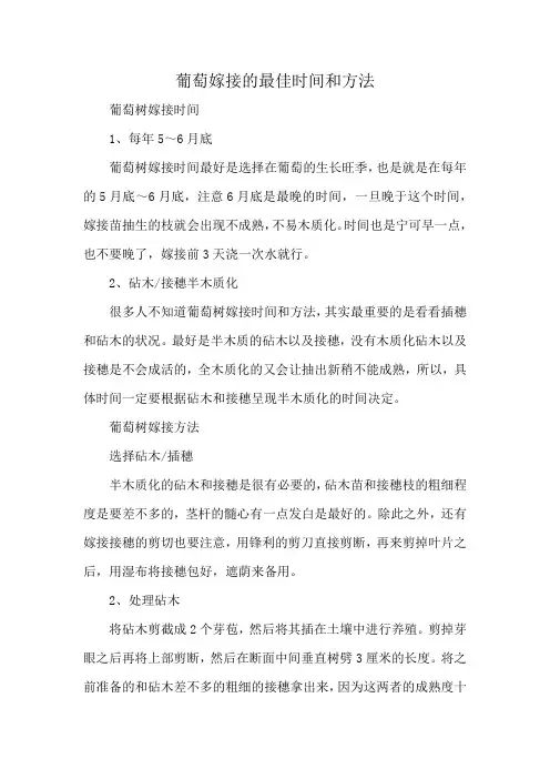 葡萄嫁接的最佳时间和方法