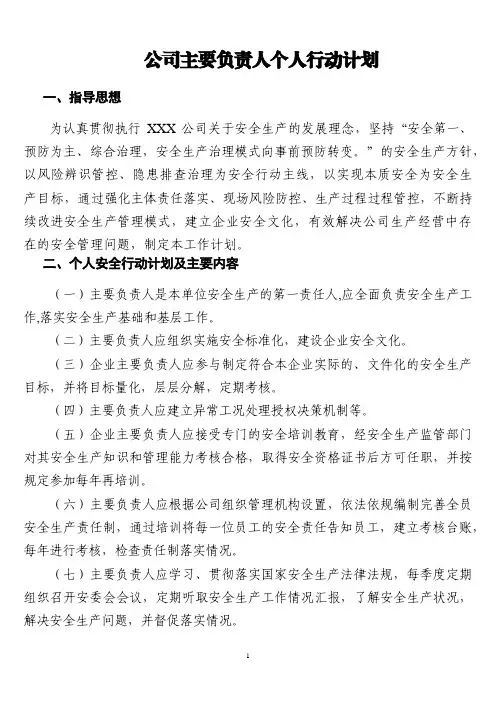 公司主要负责人个人行动计划(1)