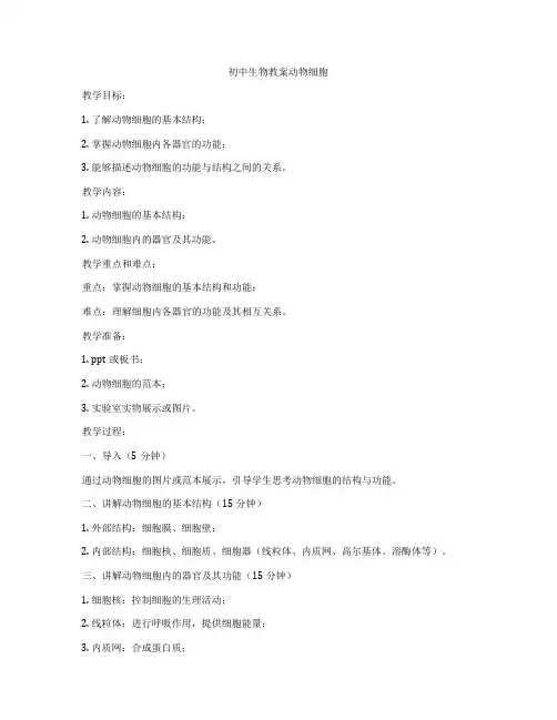 初中生物教案动物细胞
