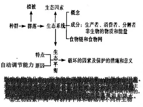 中考复习生物与环境  浙教版