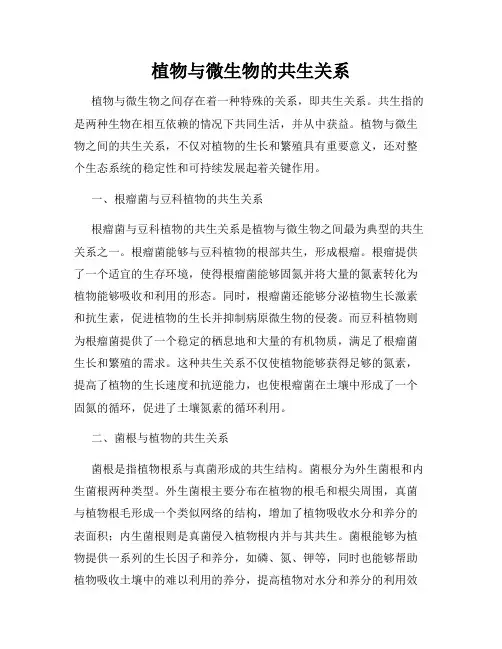 植物与微生物的共生关系