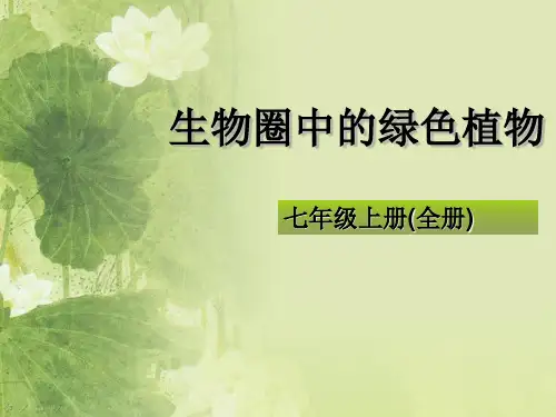 七年级生物上册期末总复习ppt 人教版