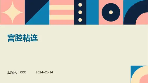 宫腔粘连介绍PPT培训课件