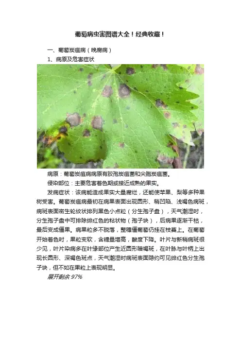 葡萄病虫害图谱大全！经典收藏！