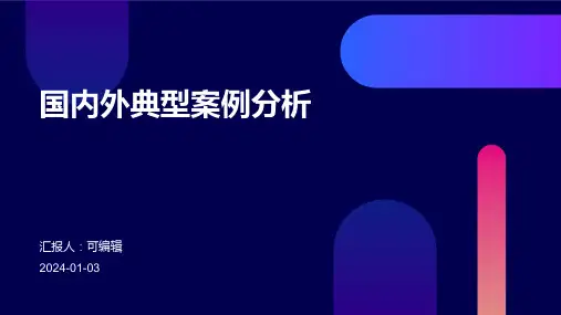 国内外典型案例分析