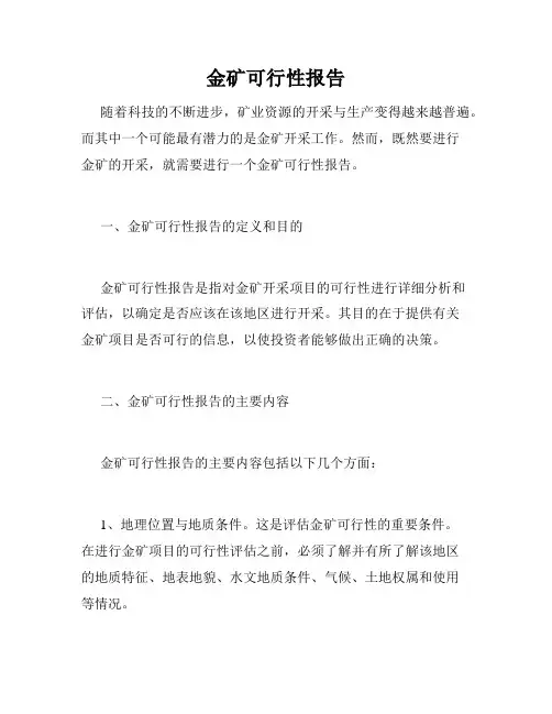 金矿可行性报告