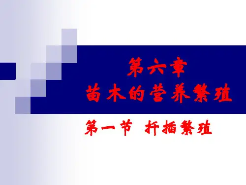 扦插Microsoft PowerPoint 演示文稿