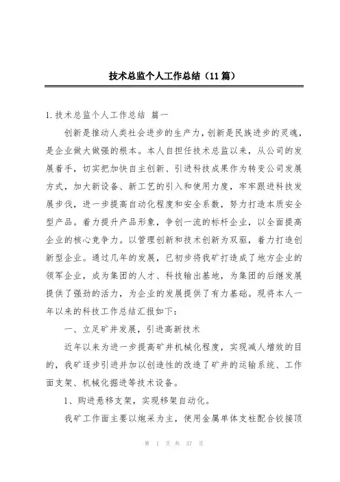 技术总监个人工作总结(11篇)