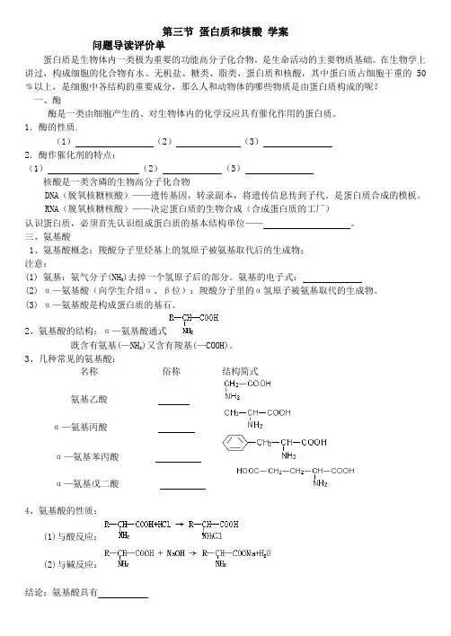 第三节蛋白质和核酸学案 