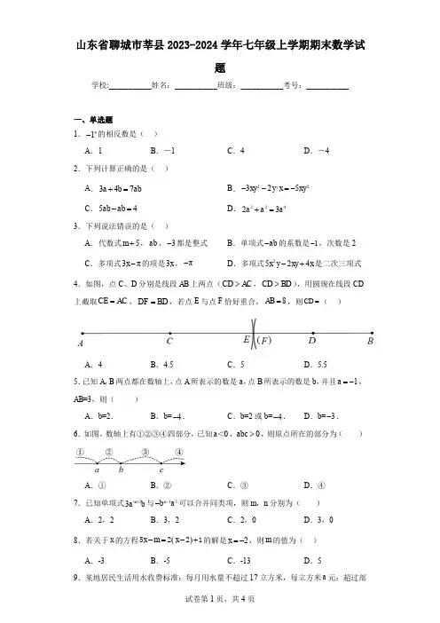 山东省聊城市莘县2023-2024学年七年级上学期期末数学试题