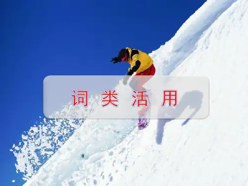 高三语文一轮复习对点课件：词类活用
