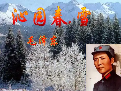 《沁园春雪》优秀课件(全)PPT