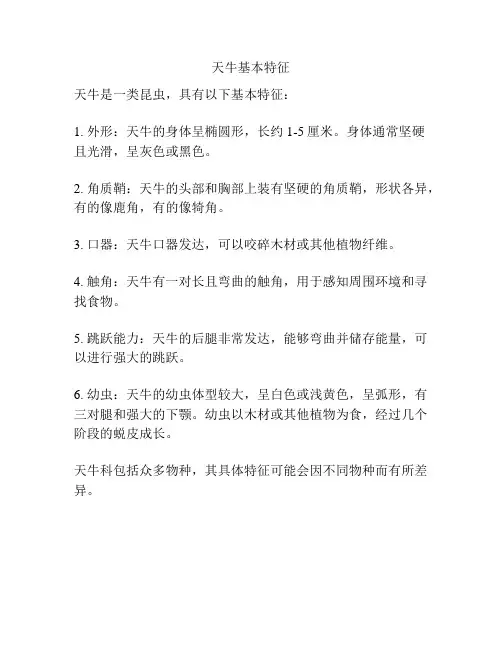 天牛基本特征