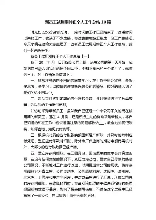 新员工试用期转正个人工作总结10篇