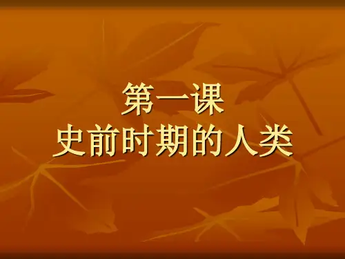 《史前时期的人类》 课件2