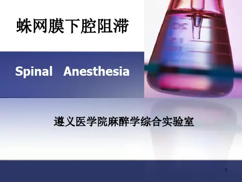 蛛网膜下腔阻滞