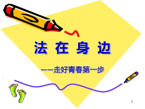 普法课堂PPT课件