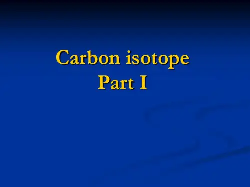 布朗大学同位素地球化学Carbonisotope