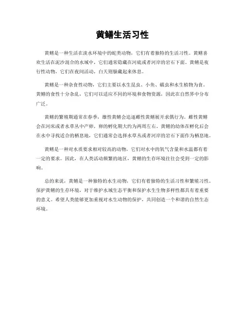 黄鳝生活习性