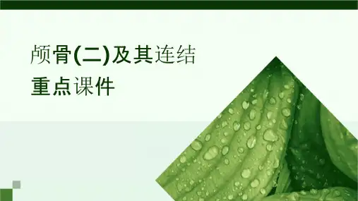 颅骨(二)及其连结重点课件