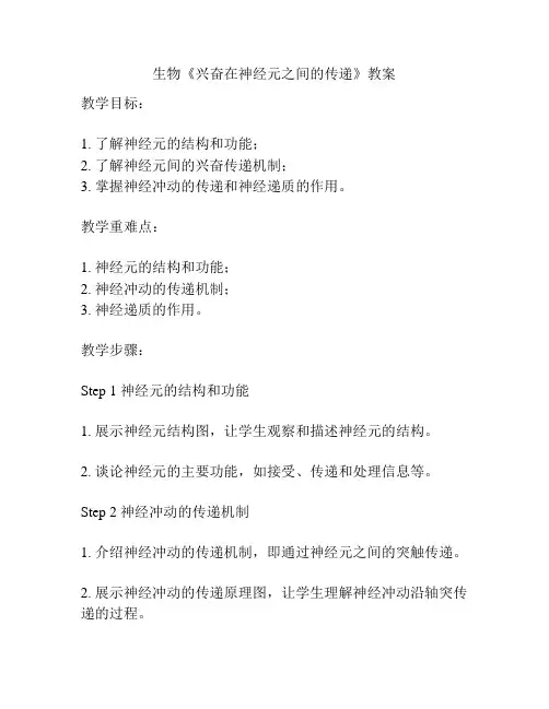 生物《兴奋在神经元之间的传递》教案