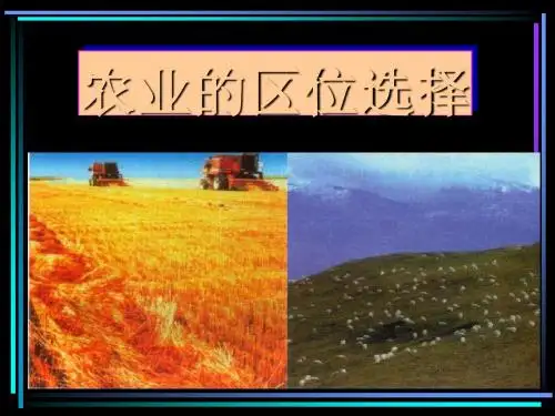 农业的区位选择PPT课件(上课用)8 人教课标版