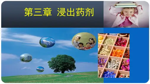 浸出药剂课件