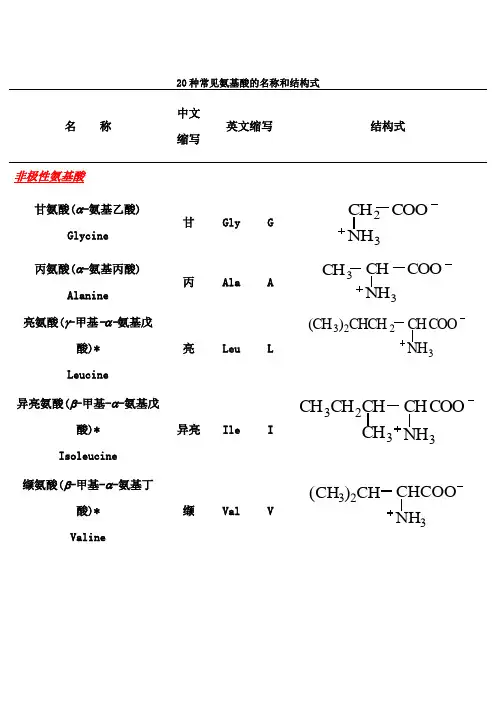 20种常见氨基酸