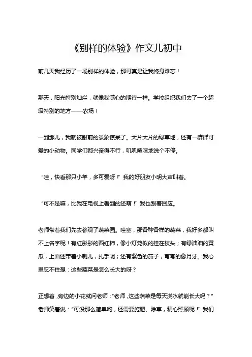 《别样的体验》作文儿初中