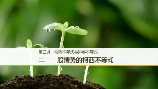 第3讲2一般形式的柯西不等式课件人教新课标