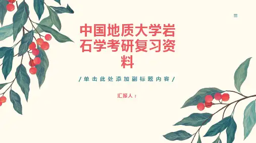 中国地质大学岩石学考研复习资料