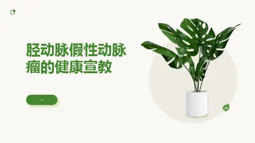 胫动脉假性动脉瘤的健康宣教