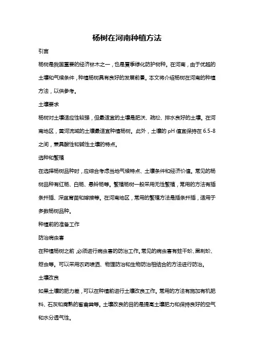 杨树在河南种植方法