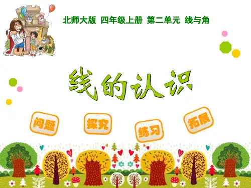 线的认识-完整版PPT课件