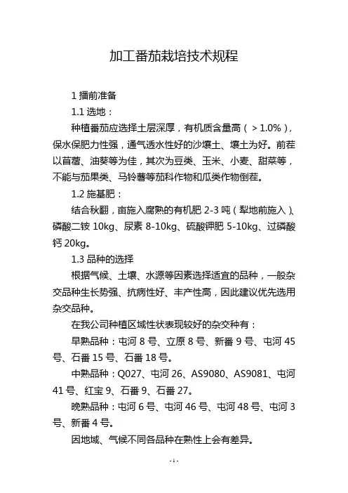加工番茄栽培技术规程