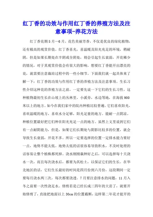 红丁香的功效与作用 红丁香的养殖方法及注意事项 - 养花方法