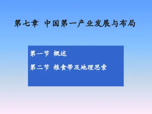 中国第一产业发展和布局分析