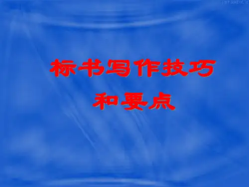 标书写作技巧和要点讲义.pptx