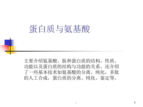 蛋白质与氨基酸PPT课件