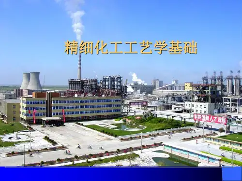 第2章 精细化工工艺学基础