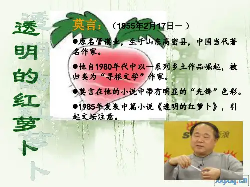透明的红萝卜ppt