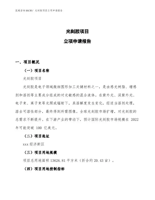 光刻胶项目立项申请报告(20亩)