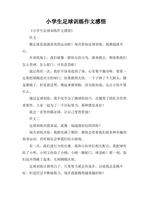 小学生足球训练作文感悟
