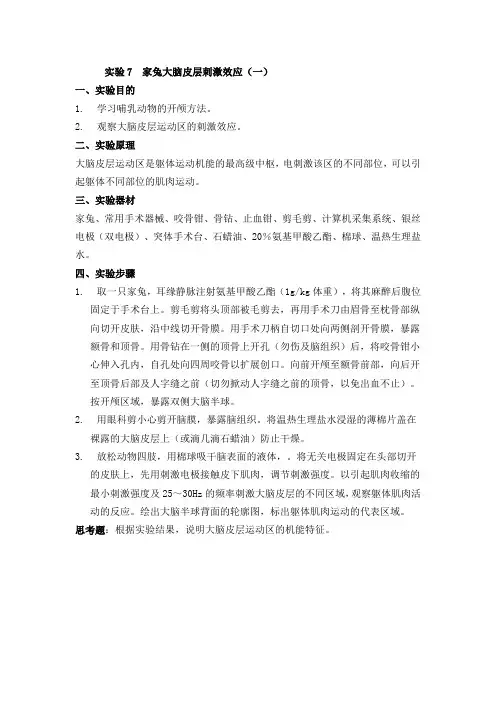 神经实验7  家兔大脑皮层刺激效应及诱发电位引导