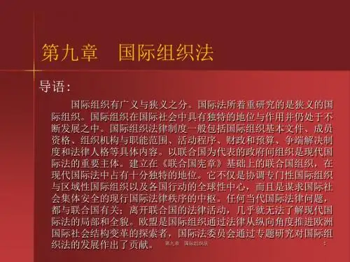 国际法邵沙平 (4)