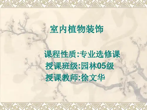 观叶植物课件4兰花