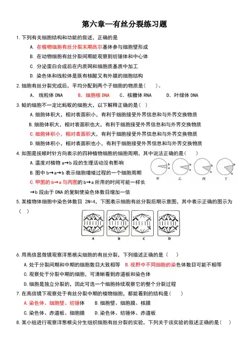 有丝分裂练习题