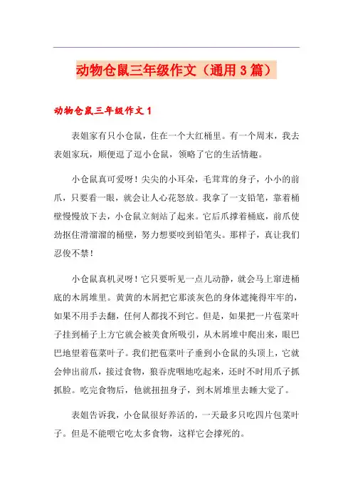 动物仓鼠三年级作文(通用3篇)